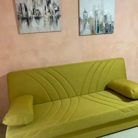 Case In Style 3 * Vaccileddi